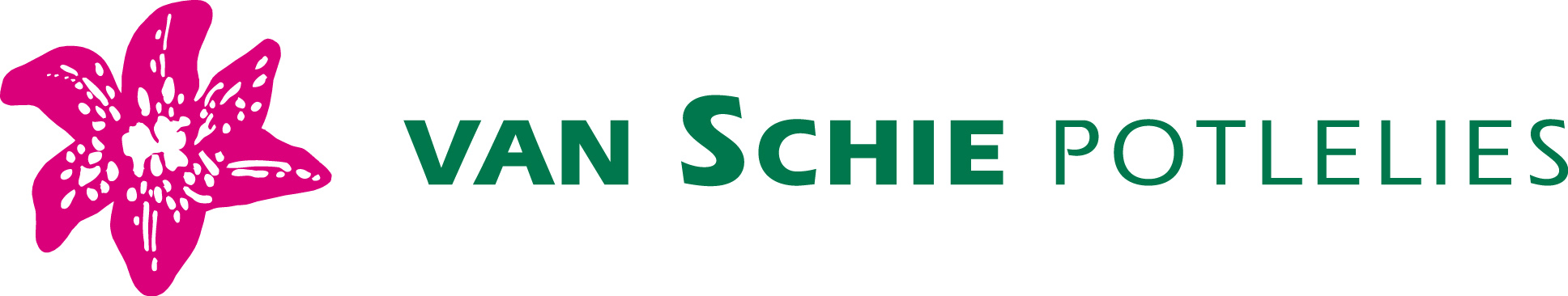 van schie potlelies