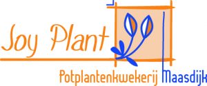 Joy Plant