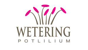 wetering potlilium